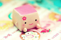 selenium使用google如何使用代理IP