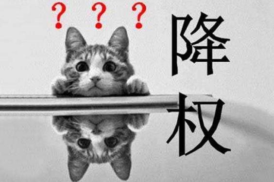 网站为什么会被降权？