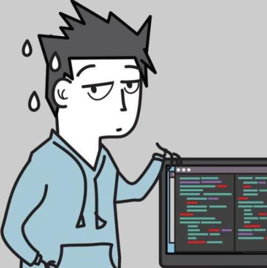 一个20岁的代码疯子，步入编程界的心路历程