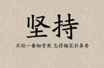 聊聊坚持，聊聊SEO，聊聊学习