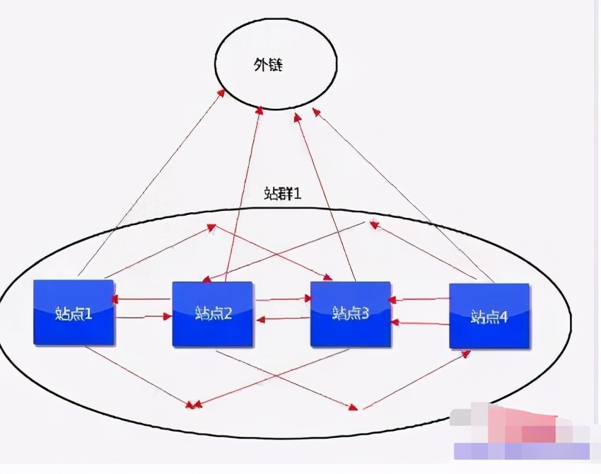 新手也能学会的网站赚钱项目，你知道吗？