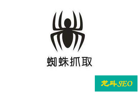 怎么禁止假百度蜘蛛,为什么网站有很多假百度蜘蛛访问?