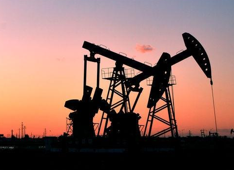 不疯狂无SEO,疯狂SEO资源快速获取攻略